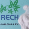 High purity manganese sulphate monohydrate