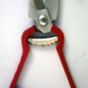 Foot Rot Shear