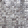 Shell Mosaic (SM-11)