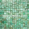 Shell Mosaic (SM-29)