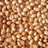 Peanuts