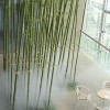 Cool Fog System
