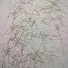 Stainless steel fiber