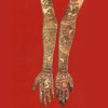 Rajasthani Mehandi
