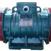 explosion-proof electric vibrator