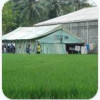 Relief tents