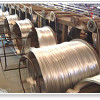 Galvanized Iron Wire