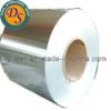 Galvanized Steel coils