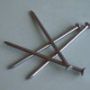 common iron wire nail,steel nail