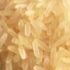 Rice, Milk Powder, Maize, Wheat Flour