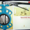 Cast Iron Valve,10K