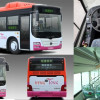 CNG buses Gas autobus inter city bus public passenger vehicle