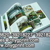 Bird Hard Cover Book with A Slip Box