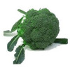 frozen and fresh broccoli vegetable