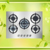 gas stove s.s with 5 burner
