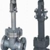 Cast Steel / Forged Steel Cryogenic