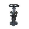 Pressure Seal Globe Valve
