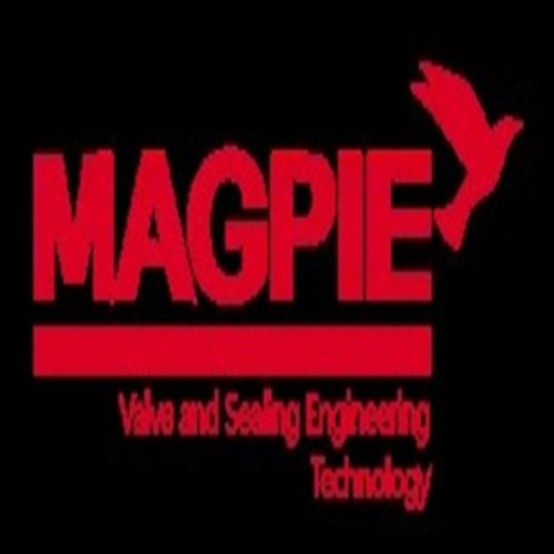 Magpie valve packing gasket