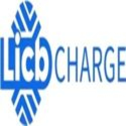 China licb ac dc ev charger co., ltd
